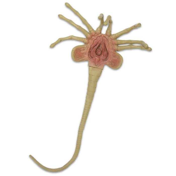 Alien Foam Prop Lifesize Face Hugger